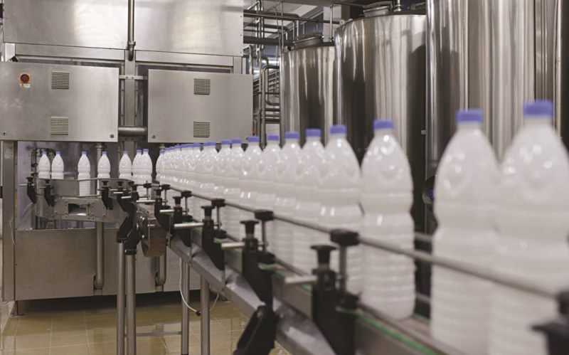 Hiqet rimbursimi i TVSH per industrine e perpunimit te qumeshtit